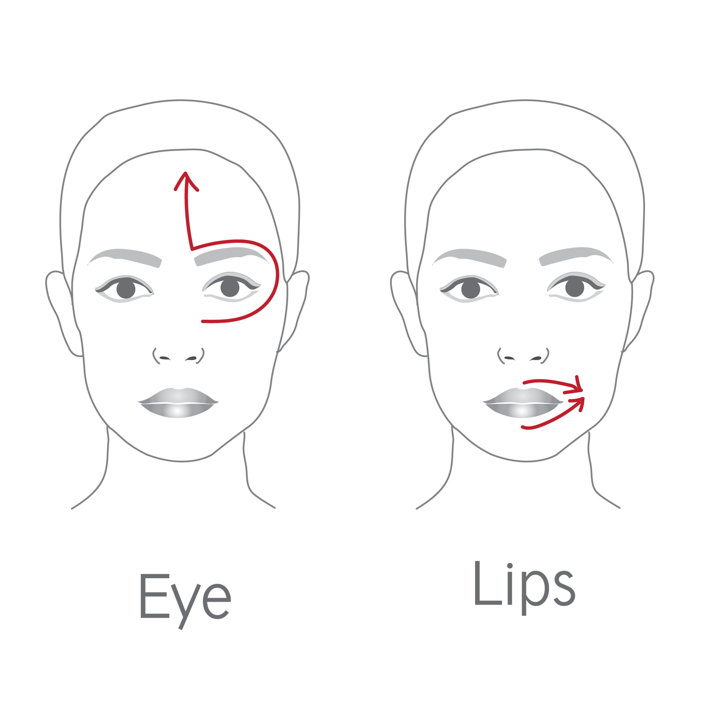 Dr Levy The Contour Pro