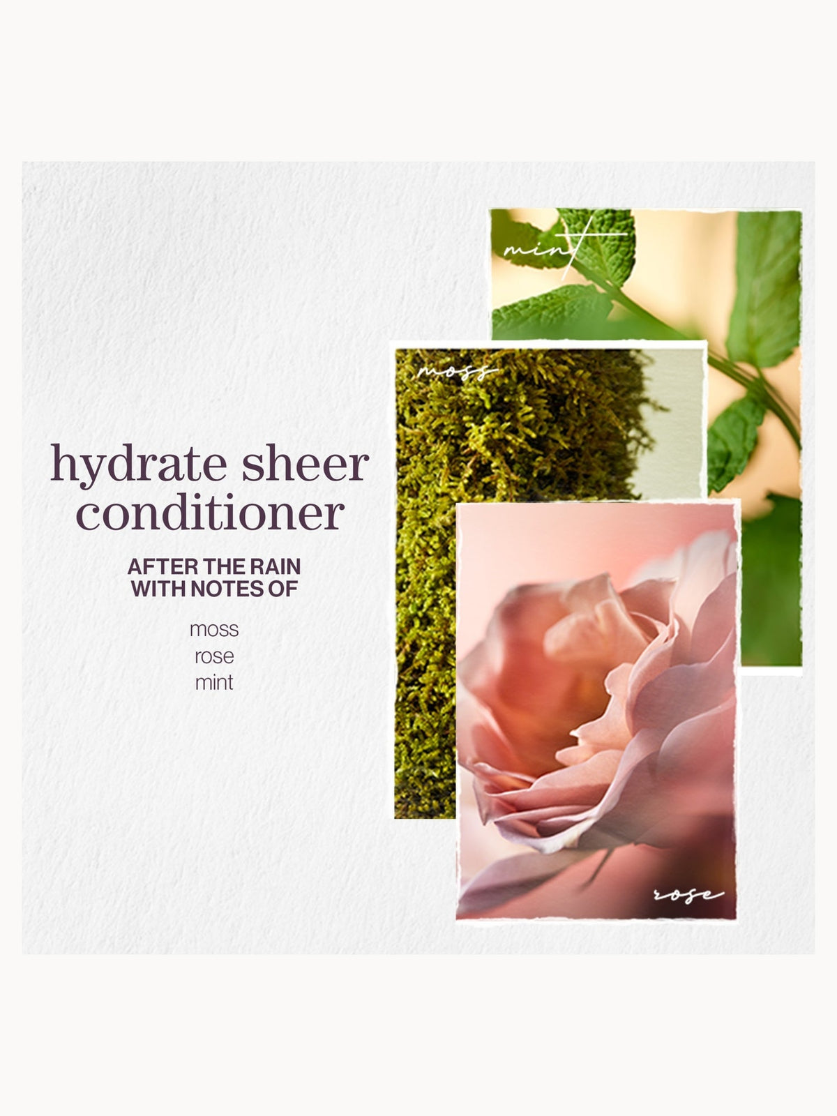 Pureology Hydrate Sheer Conditioner 1000ml – brand image 6